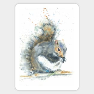 Grey Squirrel Sticker